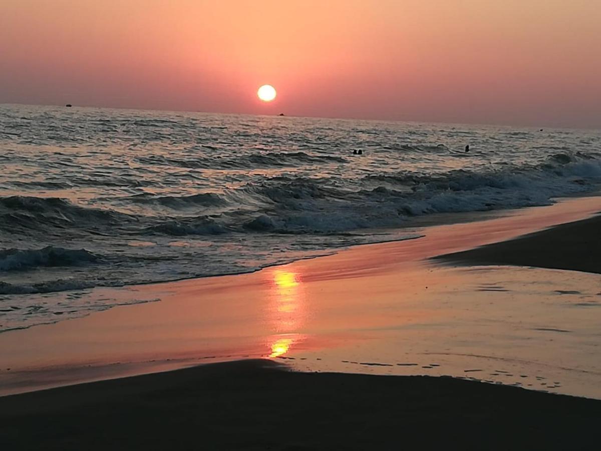 Appartamento Via Dei Fabbri Navali Lido di Ostia Eksteriør billede