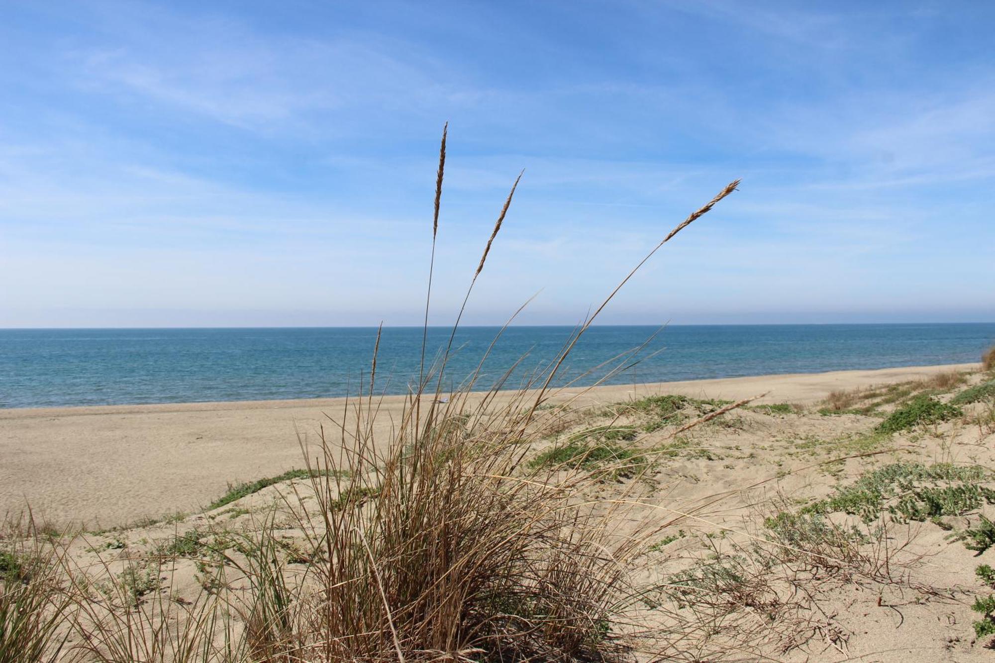 Appartamento Via Dei Fabbri Navali Lido di Ostia Eksteriør billede