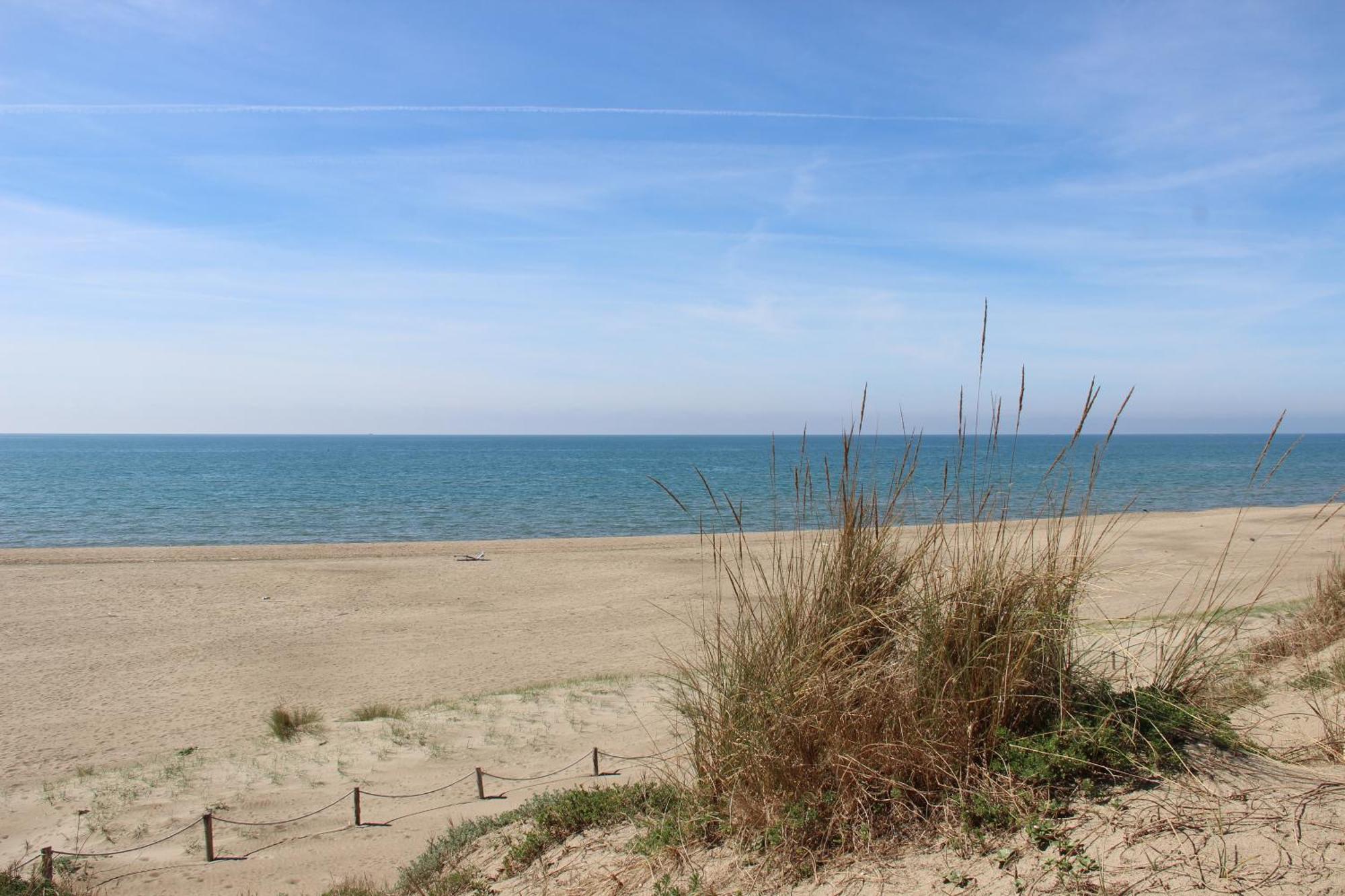 Appartamento Via Dei Fabbri Navali Lido di Ostia Eksteriør billede
